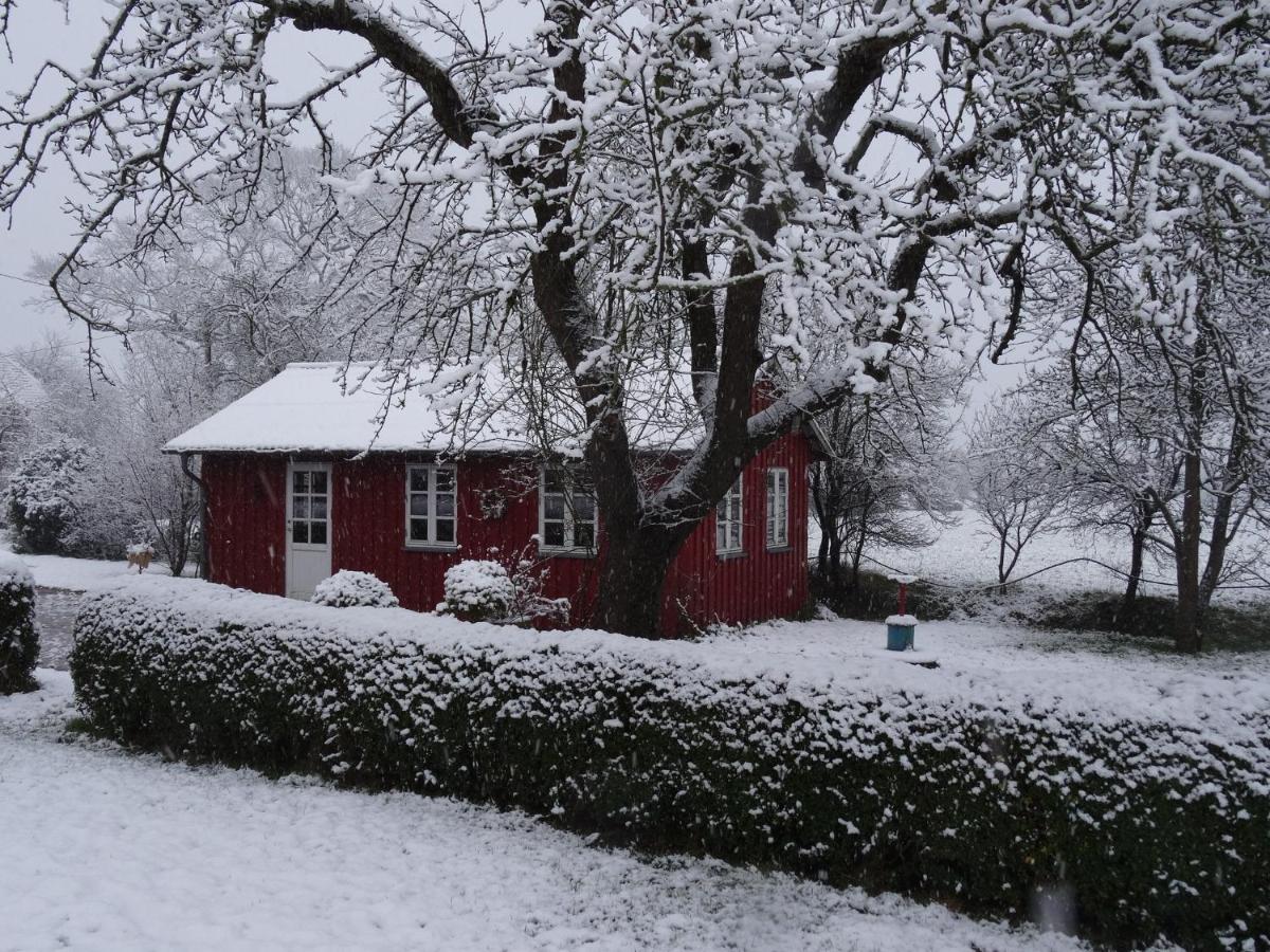 Hansenhof Kappeln Exteriér fotografie